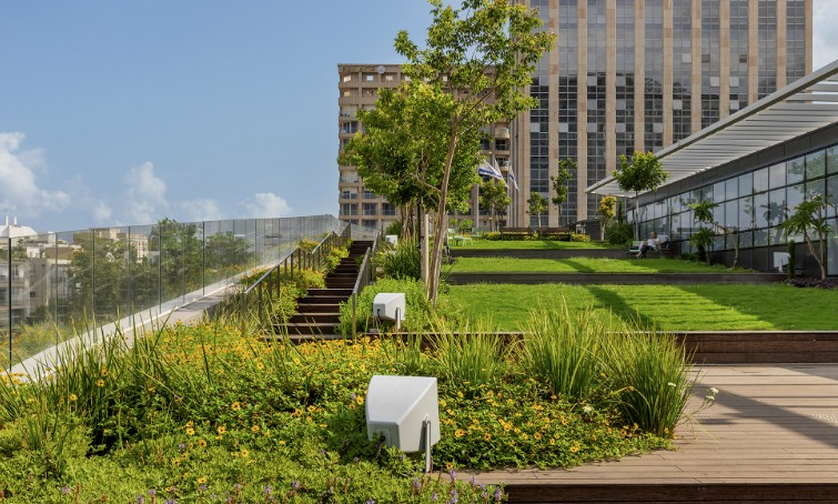 Science Studio – Emergency Building